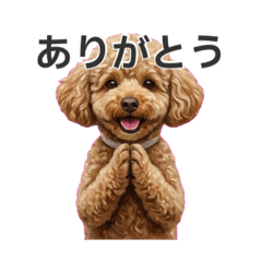 sayamaru_20260408164216