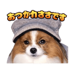 enasen_20260407232509