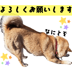 tansta;_20260407232008