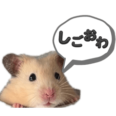 ayuka_20260408174547