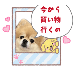 chappi_20260407204502