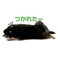 hiroki saitoh_20260408175220