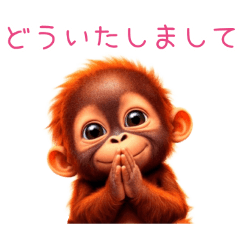 PAKAMOGOLY_20260407214901