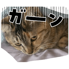 saku_20260405081419