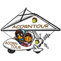ACORN TOUR : Travel's felling