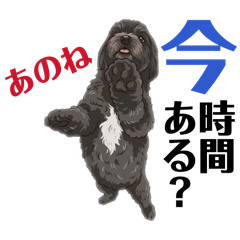 sheril mama_20260408150732