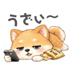 piyo-kithi_20260408160151