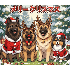 Fine Tail_20260408191025