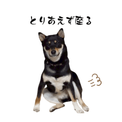 sorao_20260405094705