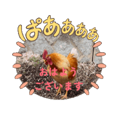 bibi&moca_20260408185431