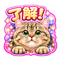 JAM one_20260408193520