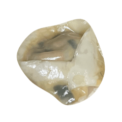 namuru_20260408193354