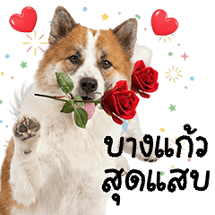 A Mischievous  Bang Kaeo