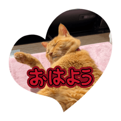 yukiya_20260408001504