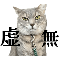 singen_20260408002609