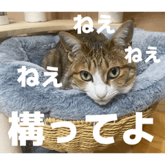 denki_nezumi_20260408002006