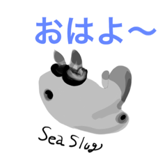 sea slug and sea cucumber