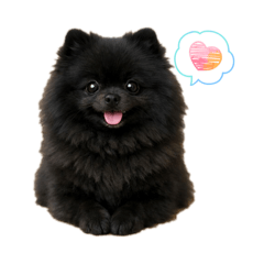 Marine_20260408194451