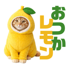 LAND LIKE A CAT_20260408180117