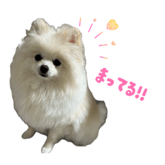 TOMOMI_20260408194527