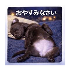 Useful Everyday Greetings2