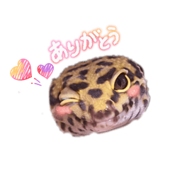 mukku_20260408201009