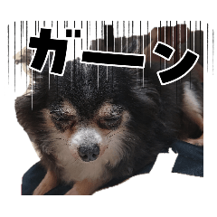 Raidenden_20260408200732