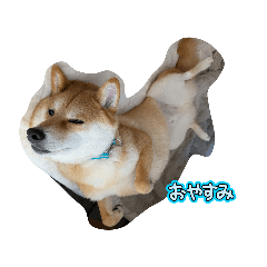 Fumika_20260408204614