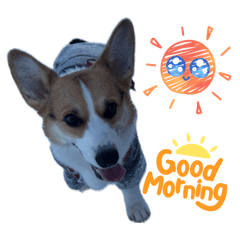 Tsuna_20260408201206