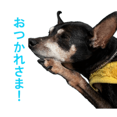 Hikoshima_20260408205519