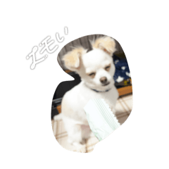 moeka_20260408205756