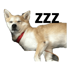 mizuka_20260408233238