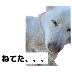 Haruto_20260408015735