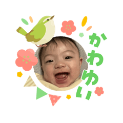 mai.o_20260408180945