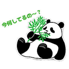 yuru_consulting_zoo_20260408181126