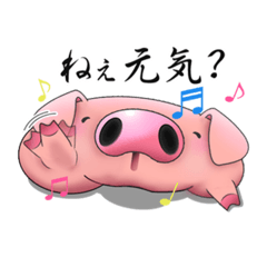 Everyday life,the cute but ugly pig.