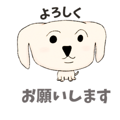 younger brother dog with a square face