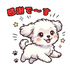 Cute Maltese Dog LINE Stickers