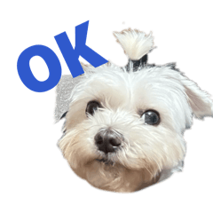 迎風公園里長伯