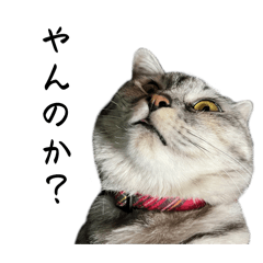 Today_20260408194426