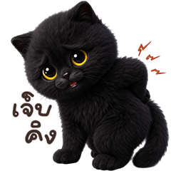 ❤️แมวดำ ตัวตึง❤️(เว้าอีสาน)