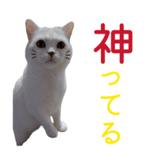 Cristiano_20260408211740