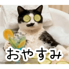 KyanasuKe_20260408212224