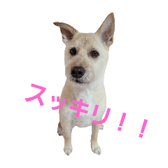 INADA SORAMARU_20260408212301