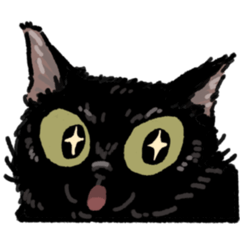I can't live without black cats.1