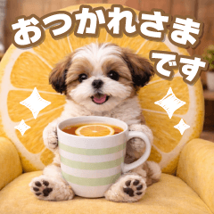 飛び出す癒しシーズーのあいさつスタンプ