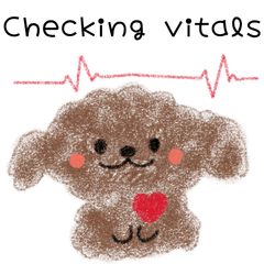 護理師常用語 玩具貴賓狗貼圖