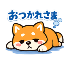 Animal stump_20260408140909