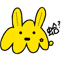 奇怪小黃兔