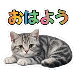 Real Cats Stickers